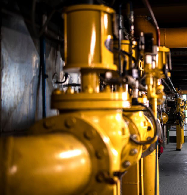 Image hover effect image